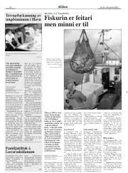 Síða 20