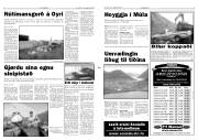 Síða 3