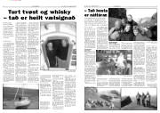 Síða 4