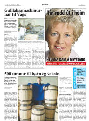 Síða 3