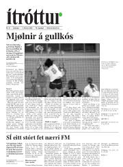 Síða 19
