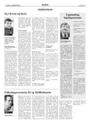 Síða 15