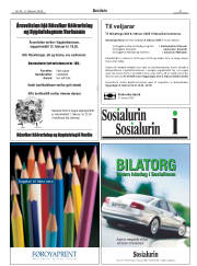 Síða 41