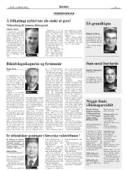 Síða 13