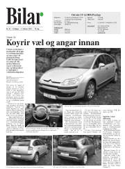 Síða 19