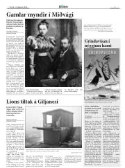 Síða 7