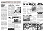 Síða 2
