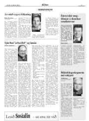 Síða 13