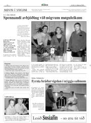 Síða 20