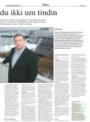 Síða 31