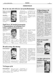 Síða 15