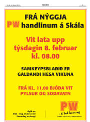 Síða 29