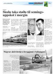 Síða 25