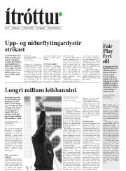 Síða 29
