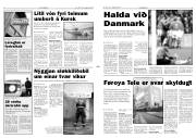 Síða 3