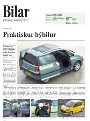 Síða 18