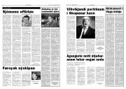 Síða 5