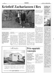 Síða 20