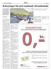 Síða 3
