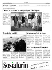 Síða 13
