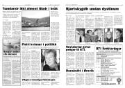 Síða 6