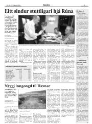 Síða 15