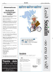 Síða 20