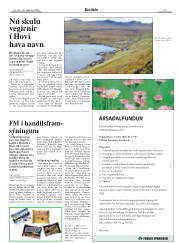 Síða 3