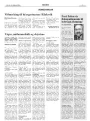Síða 11