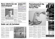 Síða 3