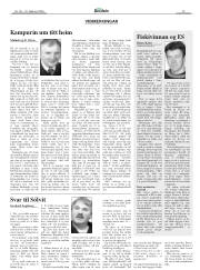 Síða 13
