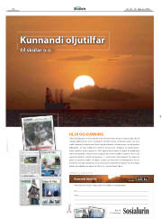 Síða 20