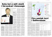 Síða 8