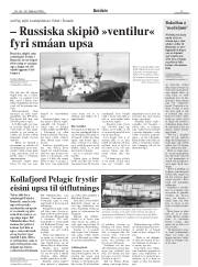 Síða 5
