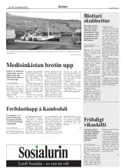 Síða 7