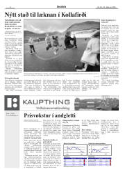Síða 8
