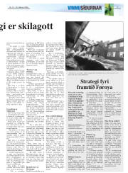 Síða 17