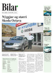 Síða 16