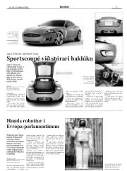 Síða 17