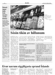 Síða 28