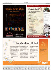 Síða 3