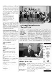 Síða 15