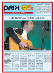 Síða 17