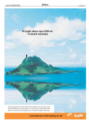 Síða 3