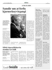 Síða 17
