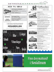 Síða 21