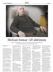 Síða 31