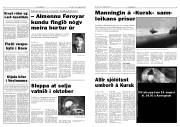 Síða 3