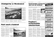 Síða 4