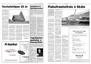 Síða 5